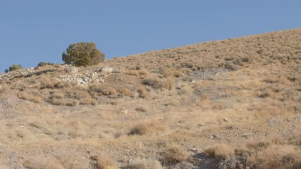 Wall Mural - Tilt Down Over Nevada Desert to Reveal Gated Mine Entrance with Ore Cart Track - Shallow Depth of Field