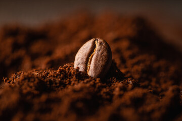 Roasted coffee bean on the mound of ground coffee. Macro shot. Coffee theme. Selective focus. Shallow depth of field.
