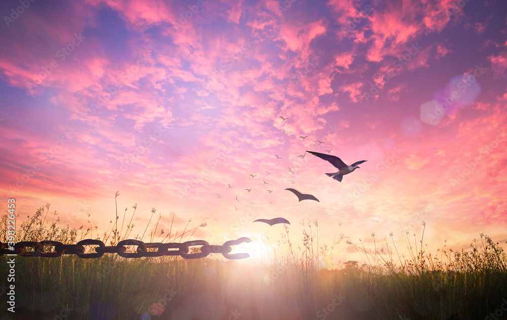 World freedom day concept: Silhouette of bird flying and broken chains at autumn meadow sunrise background - obrazy, fototapety, plakaty 