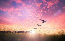 World Freedom Day Concept: Silhouette Of Bird Flying And Broken Chains At Autumn Meadow Sunrise Background