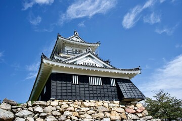 Wall Mural - The Hamamatsu castle in Japan.