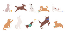 Dogs Pets Play Vector Illustration Set. Cartoon Cute Various Doggy Characters Collection Of Funny Dog Animal Playing With Ball, Training Human Commands, Puppy Running And Jumping Isolated On White