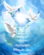 canvas print picture - The flying three white doves around clouds stairs leading to shining heaven and the background of the clouds in beautiful blue sky