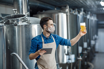 Wall Mural - Control of drink, tasting and quality of beer at factory