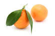 One fresh tangerine or orange fruit isolated on white background with clipping path