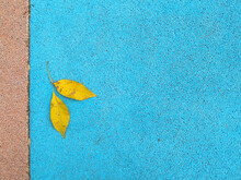 Branch With Two Yellow Leaves On A Blue Covering Of Kids Playground