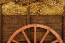 An Old Wooden Wagon With Ears Of Freshly Harvested Ripe Wheat On It.