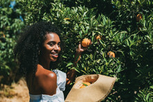 Happy Woman Picking Orange Fruit In Garden