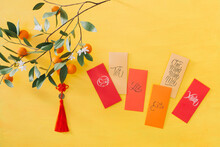 Lunar New Year. Tet Holiday Of Vietnamese.