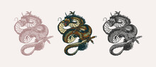 Japanese Dragon. Mythological Animal Or Asian Traditional Reptile. Symbol For Tattoo Or Label. Engraved Hand Drawn Line Art Vintage Old Monochrome Sketch, Ink. Vector Illustration.