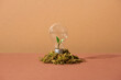 © Maki Company Limited/Stocksy - idea and energy concept Light bulb in soil