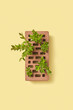 © Yaroslav Danylchenko/Stocksy - Perforated clay bricks with plant.