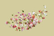 © Yaroslav Danylchenko/Stocksy - Floating natural flowers pattern.