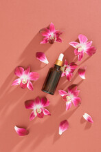 Massage Oil With Violet Orchid On Bright Color Background. Beaut