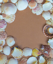 Seashells Surround Sandy Blank Print Space