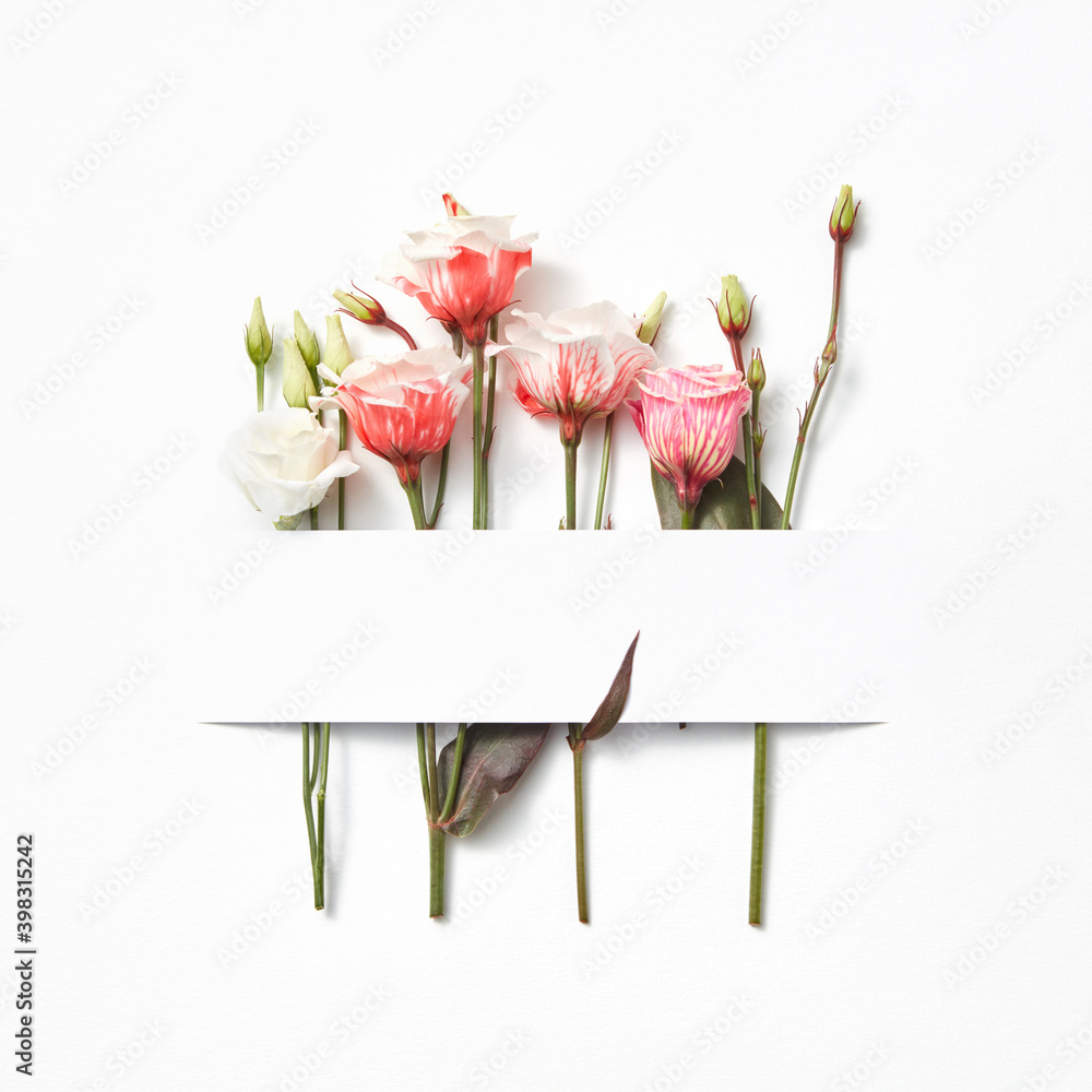 Flowers congratulation decorative frame. Stock Photo | Adobe Stock