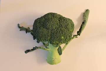 Green fresh organic broccoli on light pink background