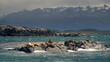 small islet with sea lions in front of the city of Ushuaia Argentina