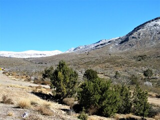 Wall Mural - Snow capped mountains in the distance