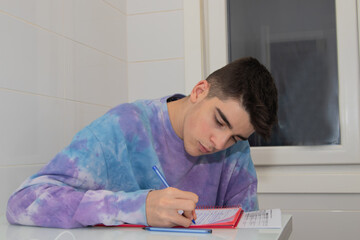 Sticker - male teenager studying and writing