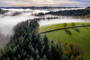 Poster - Beautiful green landscape with plantations and trees under a cloudy sky