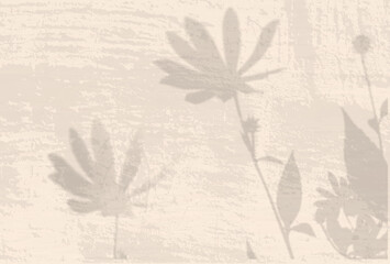 Wall Mural - Natural light casts shadows from Jerusalem artichoke flowers on the beige wall. The effect of shadows. Transparent soft light and shadows from the branches