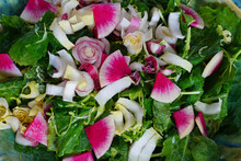 Bowl Of Winter Salad With Kale, Belgian Endives And Watermelon Radish