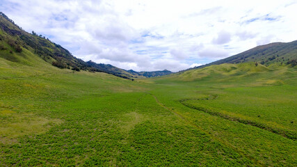 Green grass field with cloud in the morning. Landscape view of Bromo Savannah