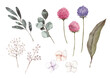 ナチュラルな花と葉っぱの素材　水彩イラスト