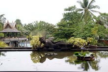 Asia Budda Palm Tropical Paradise Garden Pond