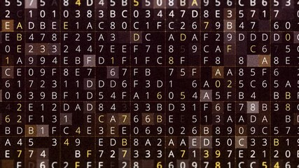 Wall Mural - abstract hacking background, programming code strings changing on screen, seamless loop. animation. 