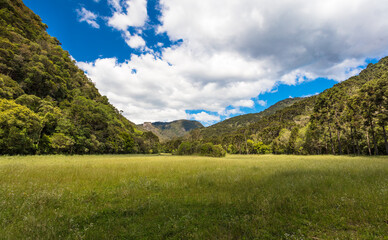 Poster - Vale verde e céu azul com nuvens