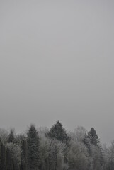 Naklejka na meble Winterwald