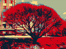 Tree In The City In The Pop Art Style