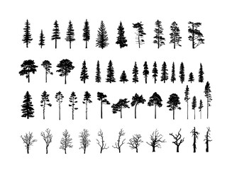 set of tree silhouettes of different types and shapes isolated on white background. illustration.