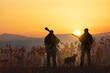 © ginettigino - Hunting silhouette at dawn with dog
