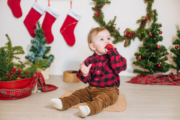 Little cute boy in a red plaid shirt near little Christmas trees. Christmas mood