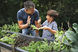 © Epiximages/Westend61 - Cheerful boy showing thumbs up to father while holding plant with trowel by raised bed in garden