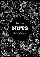 Wall Mural - Nuts collection hand drawn sketch. Vector illustration. Organic healthy food. Great for packaging design. Engraved style. Black and white color