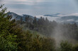 Drzewa iglaste i liściaste we mgle. Chmury nad górami, Bieszczady, Polska