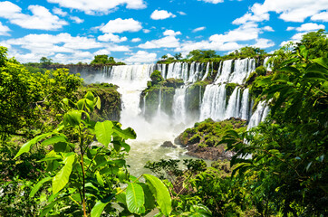 Wall Mural - View from the jungle to Iguazu Falls, the largest waterfall in the world. UNESCO world heritage in Brazil and Argentina