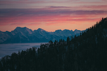 Wall Mural - a lake surrounded by trees and mountains