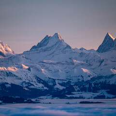 Wall Mural - a body of water with mountains in the background