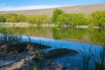 Wall Mural - Picturesque Patterson Ponds and surrounding trees and vegetation during spring