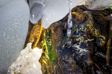 Beautiful splashing of falling water from the spring
