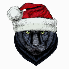 Black panther. Christmas red Santa Claus hat. Wild cat portrait.