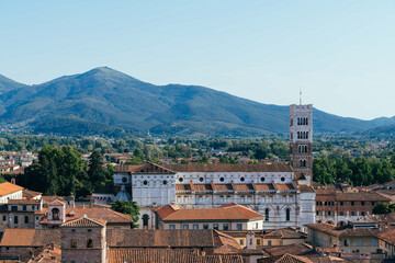 Wall Mural - Lucca city skyline under the sunlight