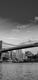 Fototapeta  - NEW YORK CITY - JUNE 10, 2013: The Brooklyn Bridge is a famous city landmark