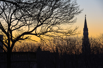 Canvas Print - Belgique Europe Bruxelles hotel de ville monument arbre