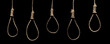 Creative social concept photo of rope noose with hangman's knot hanging in front of black background.